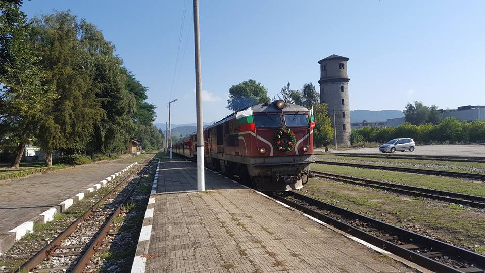 tesnolineika2
