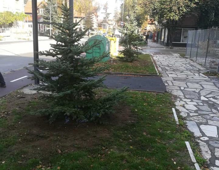  Общ. Велинград – обновяване на зелената система по бул. „Съединение”