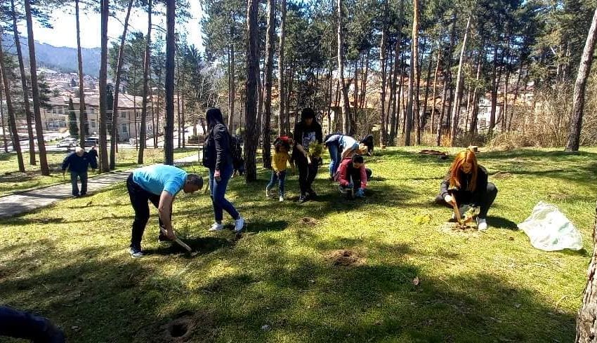  Велинград: Общински служители засадиха 600 фиданки в Седмицата на гората