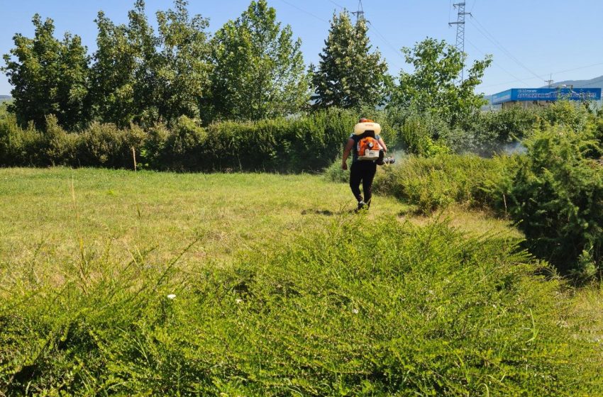  Извършена беше дезакаризация на тревните площи в гр. Ракитово