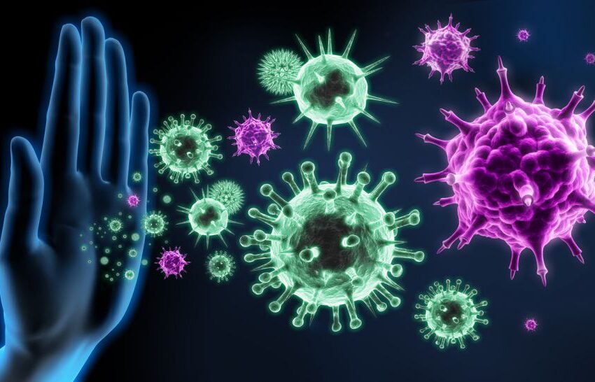  Полезна информация: Какво представляват вирусите?