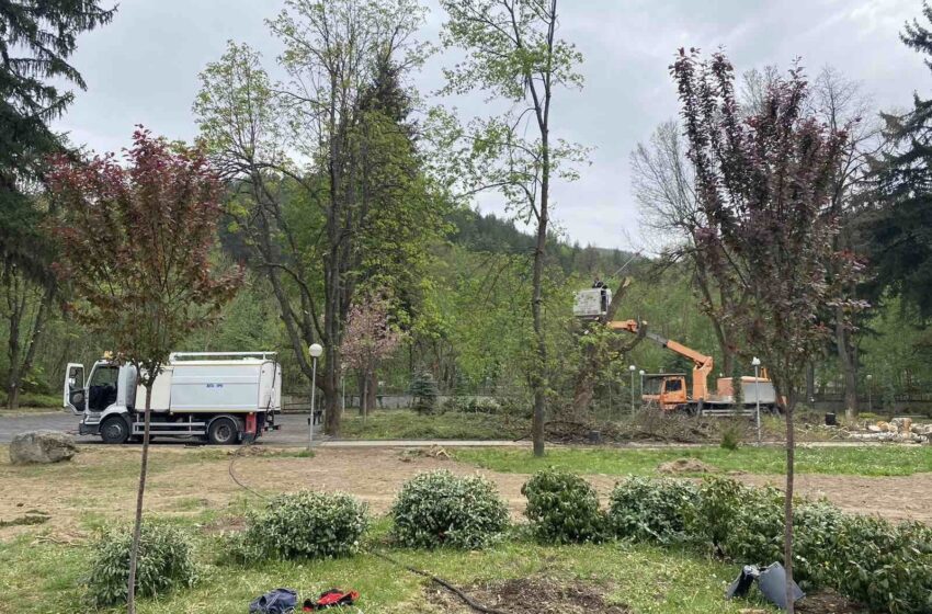  Нови дръвчета бяха засадени в парк „Клептуза”