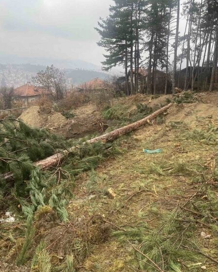  Издадени са наказателни постановления след проверка за незаконно отсечени дървета в ската под улица ”Кисловодск”