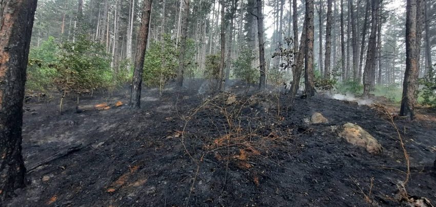  Гасят горски пожар над голям хотелски комплекс във Велинград